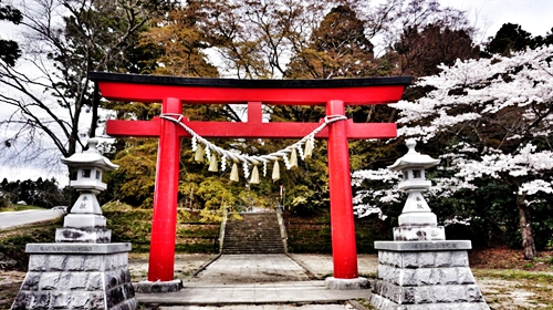 美丽的南卡罗来纳——一个**的家庭度假州